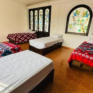 Single Bed Mixed Dormitory Room
